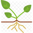 Agronomy  Icon