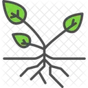Agronomy  Icon