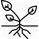 Agronomy  Icon