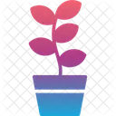 Agronomy  Icon