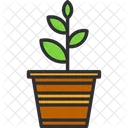 Agronomy  Icon