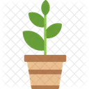 Agronomy  Icon