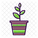 Agronomy  Icon