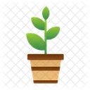 Agronomy  Icon