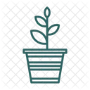Agronomy  Icon