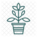 Agronomy  Icon
