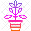Agronomy  Icon