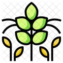 Agronomy Plant  Icon