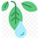 Eco Ecologia Amigable Icon