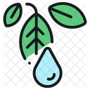 Eco Ecologia Amigable Icon