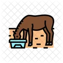 Agua Cocho Cavalo Ícone