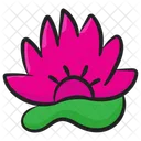 Lotus De Agua Flor Flor Icon