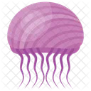 Medusas Geleias Geleias Do Mar Icon