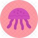 Medusa  Icon