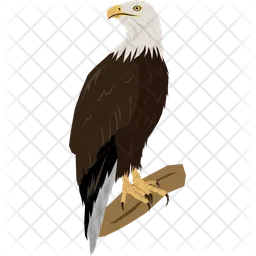 Águila  Icono