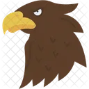 Aguila Pajaro Aguila Calva Icono