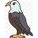 Águila  Icono