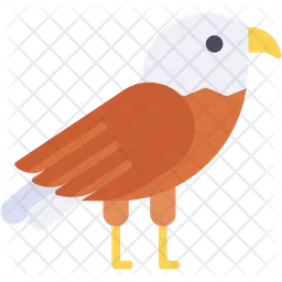 Águila  Icono