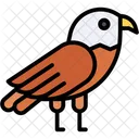 Águila  Icono