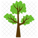 Ahorcado Olmo Arbol Icono