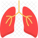 Air Anatomy Lungs Icon