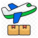 Air cargo  Icon