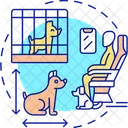 Air flights with pets  Icon