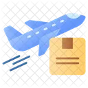 Air Freight Cardboard Icon