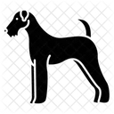 Airedale  Ícone