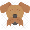 Airedale Terrier Pelaje Duro Mamifero Icono