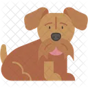 Airedale Terrier Pelaje Duro Mamifero Icono