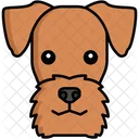 Airedale Terrier Pet Dog Dog Icon