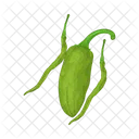 Aji Verde Comida Verdura Icon