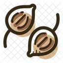 Ajwain  Icono