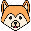 Akita  Ícone