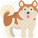 Alaskan Dog Icon