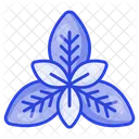 Albahaca  Icono