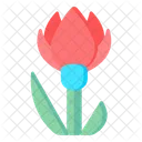 Albanica Tulip  Icon