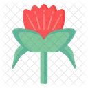 Tulpe Albanica  Symbol