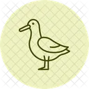 Albatros  Symbol