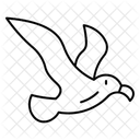 Albatros  Symbol