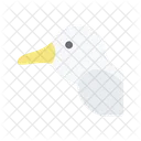 Albatross  Icon