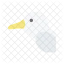 Albatross Icône