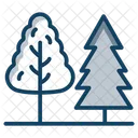 Alberi Natura Conifere Icon