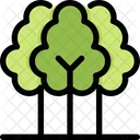 Albero Ecologia Salva Icon