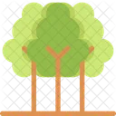 Albero Ecologia Salva Icon