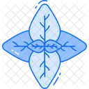Albahaca Icono