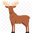 Moose Brown Simple  Icono