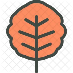 Alder  Icon