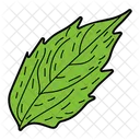 Alder Leaf  Icon